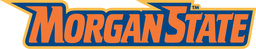 Morgan State Bears 2002-Pres Wordmark Logo v2 DIY iron on transfer (heat transfer)
